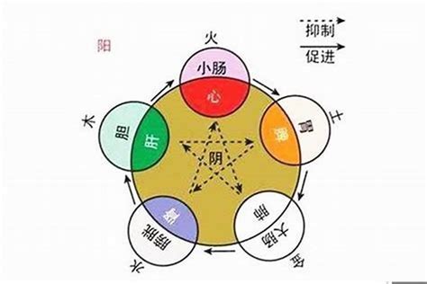 云字五行|云的五行属什么,云字的五行属性,云的寓意